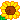 sunflower2