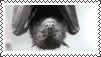 why do i have to make a name for these stamps