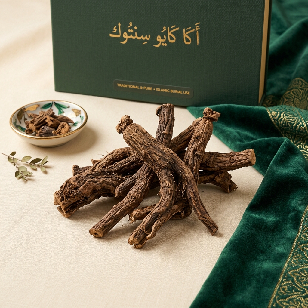 Akar Kayu Sintok