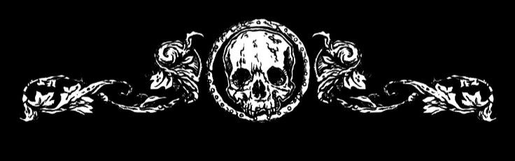 ⁰⁵ Logan-'s banner