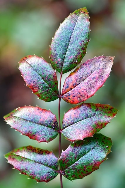 Untitled Image