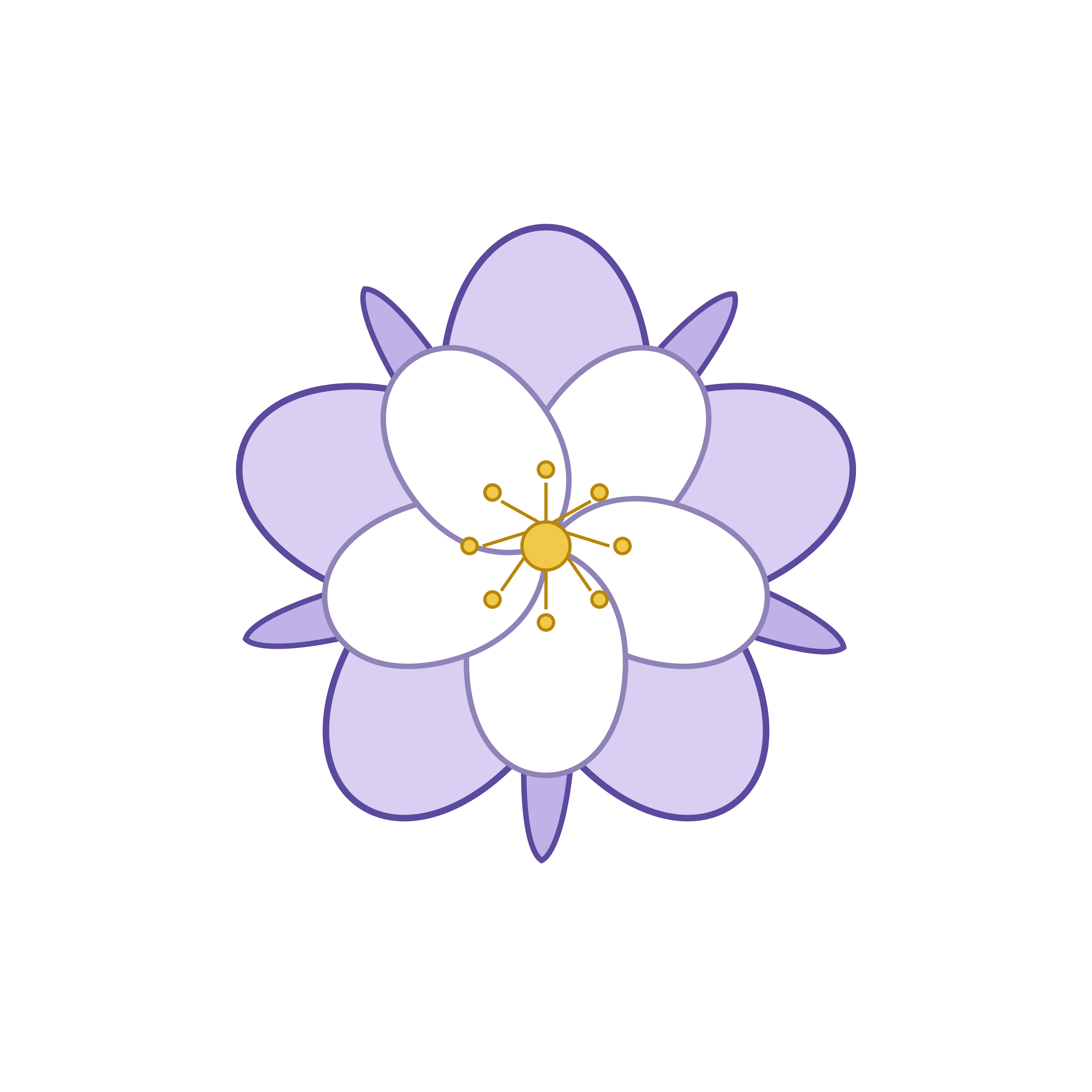 Botanical Columbine