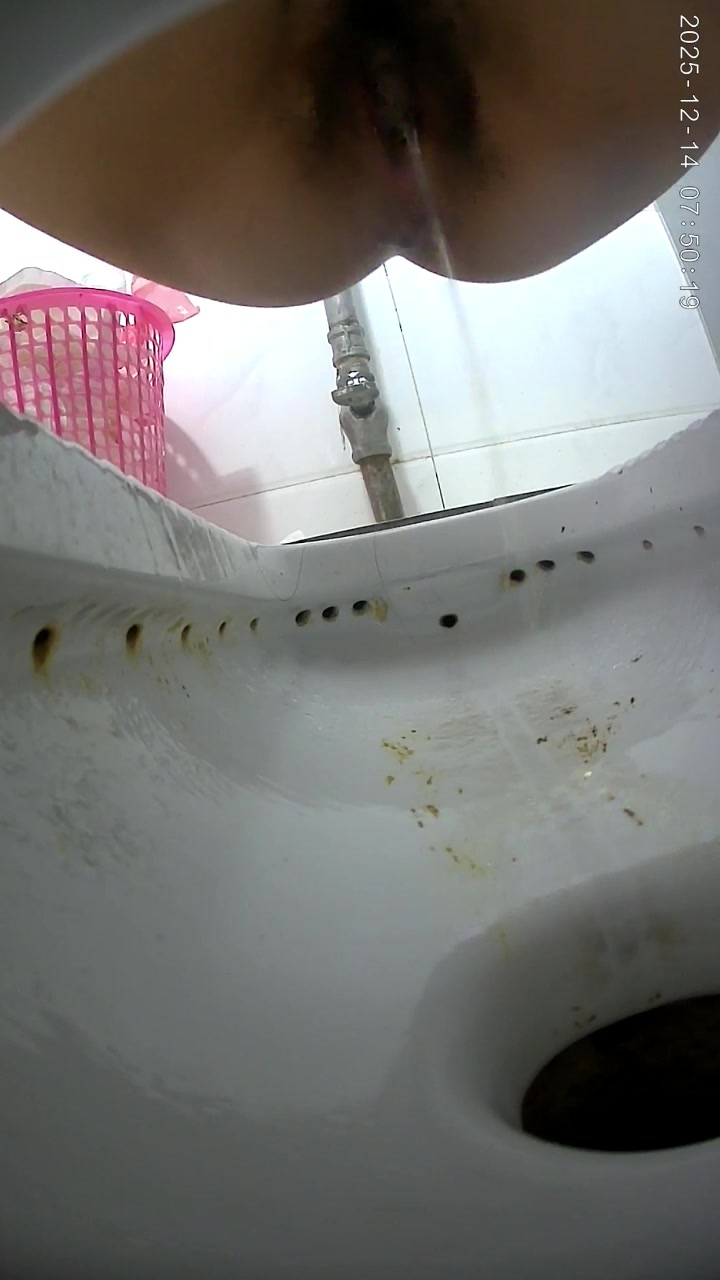 Toilet Spy — 0508(25) — screenshot 2