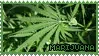 weed