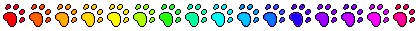 A rainbow paw print divider which shines throughout.