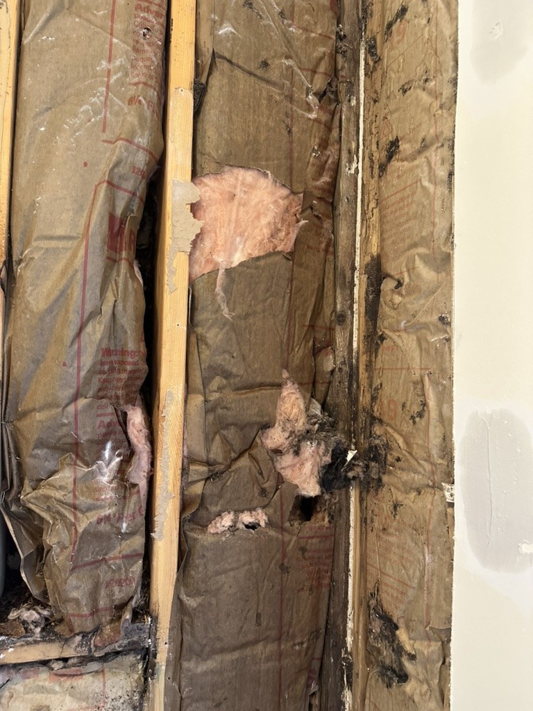 Water damage behind the laundry-room wall