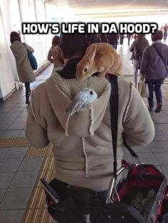 one bunny on a shoulder asking another bunny inside a pullover hood "how is living in da hood"