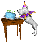 dog flipping table with cake