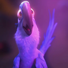 I know how my feathers look like, but I’m not that kind of bird.