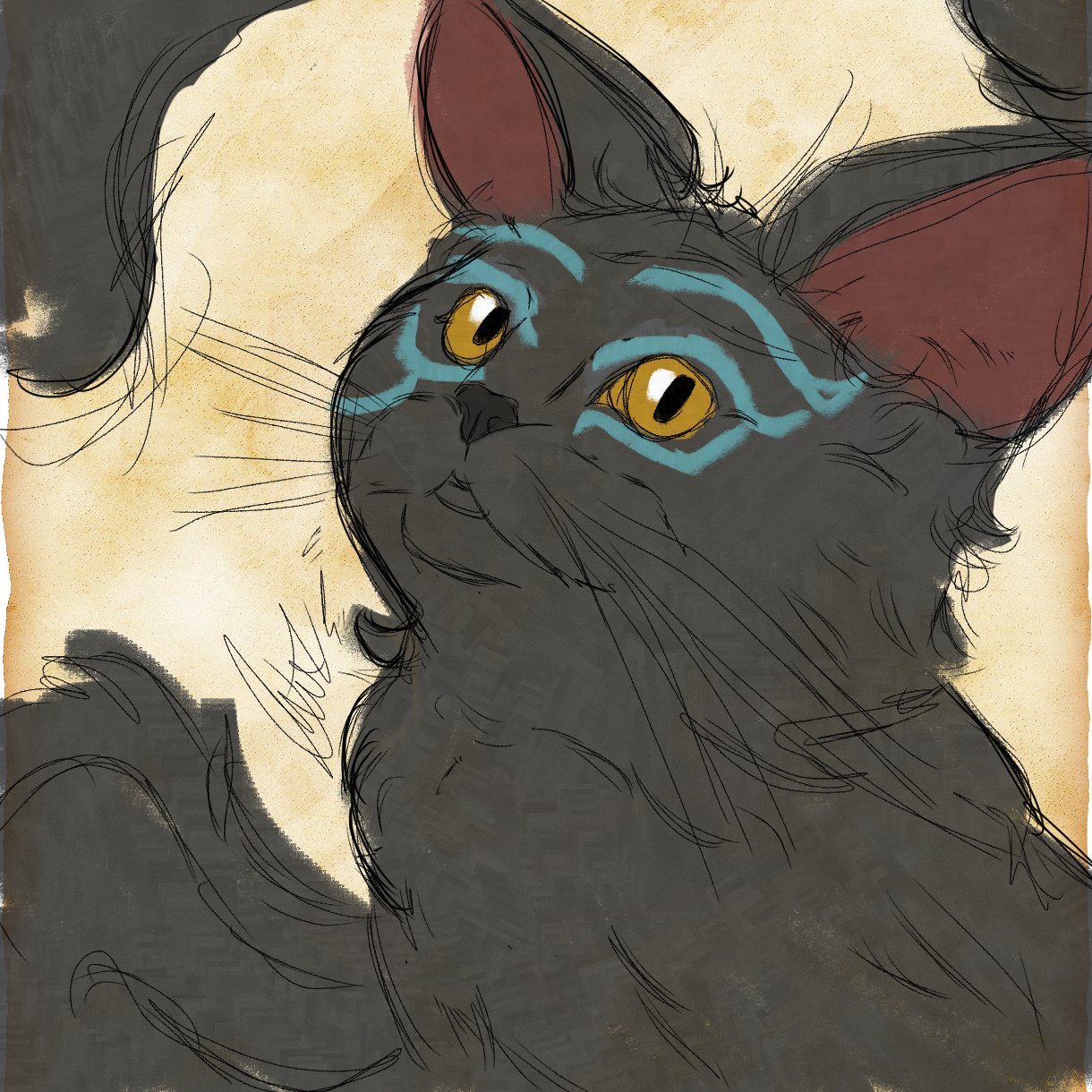 black cat with blue markings