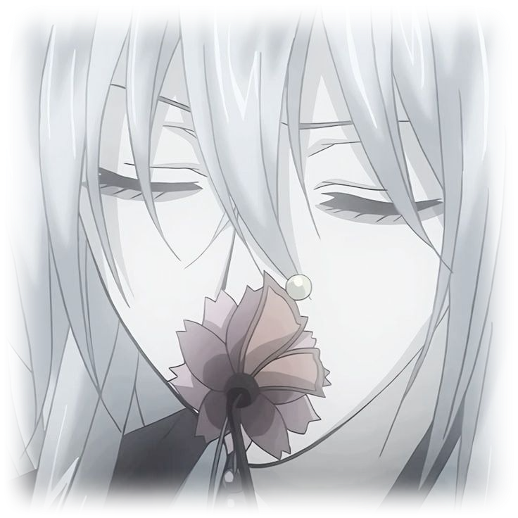 tomoe tomoe
