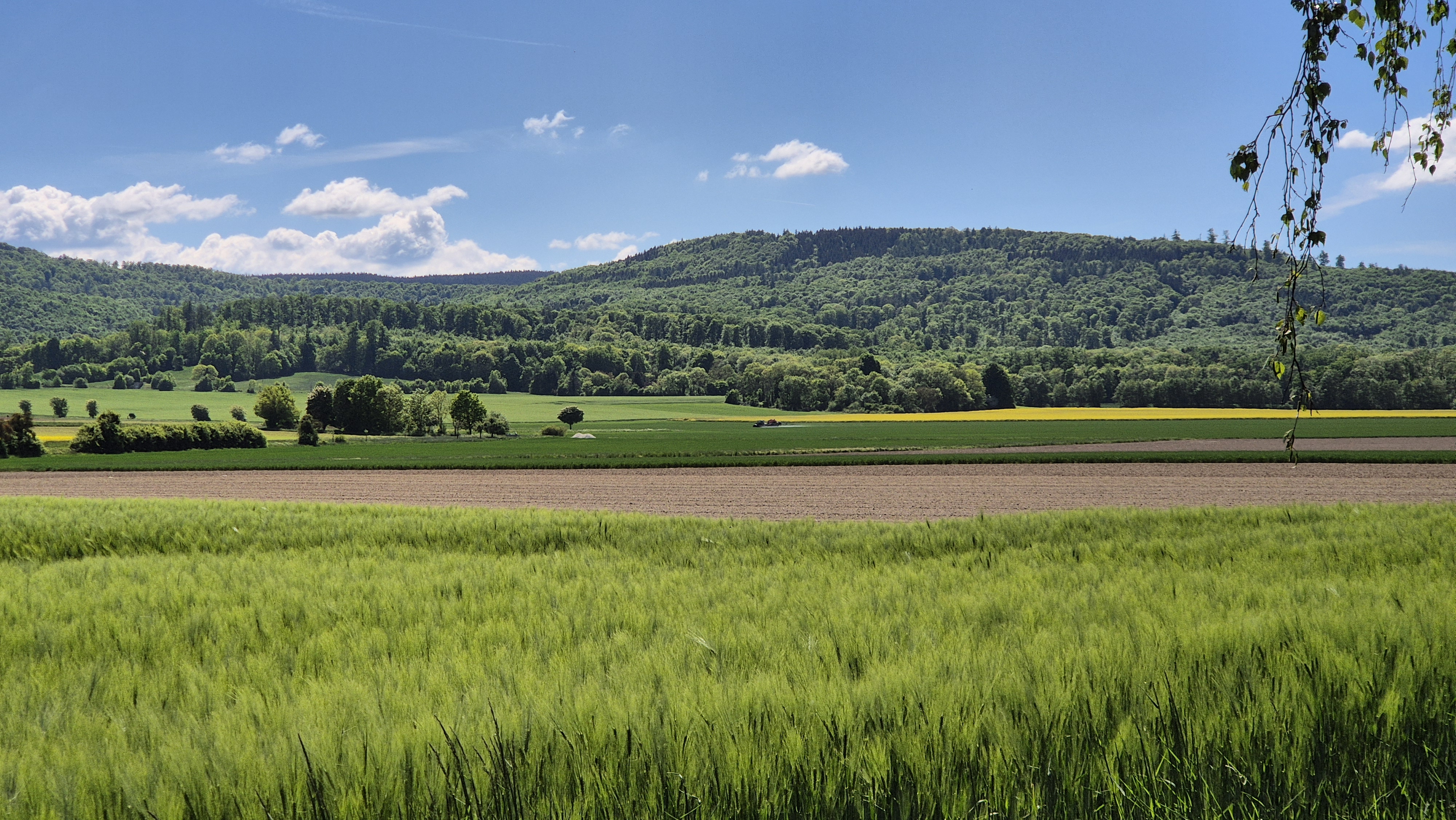 Naturlandschaft in Niedersachsen