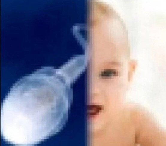 Spermatozoon and baby