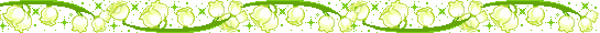 divider2