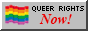Queer Rights Now Button