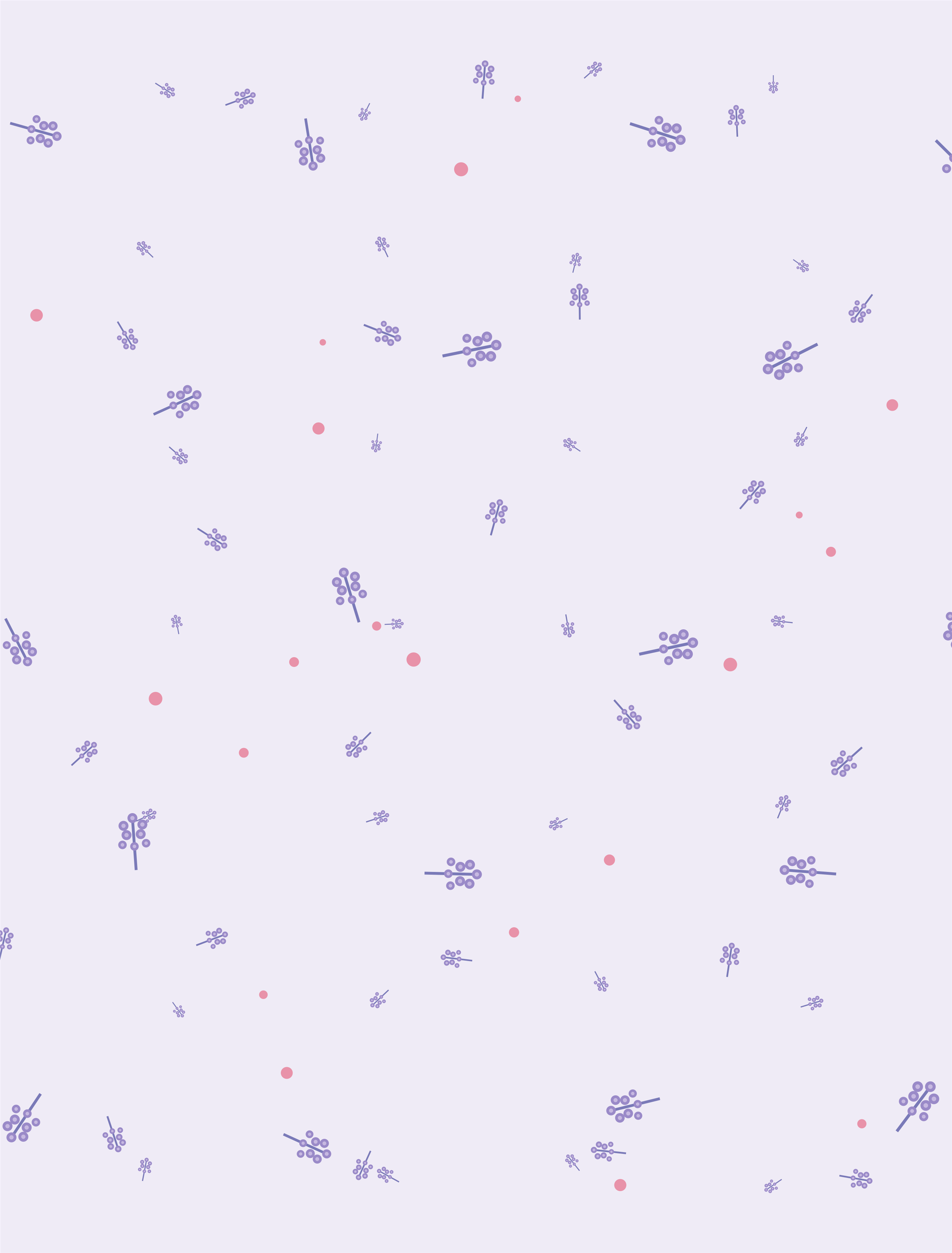 Purple Lilac — New Hampshire state flower