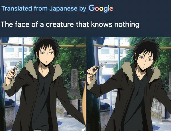 stupid
