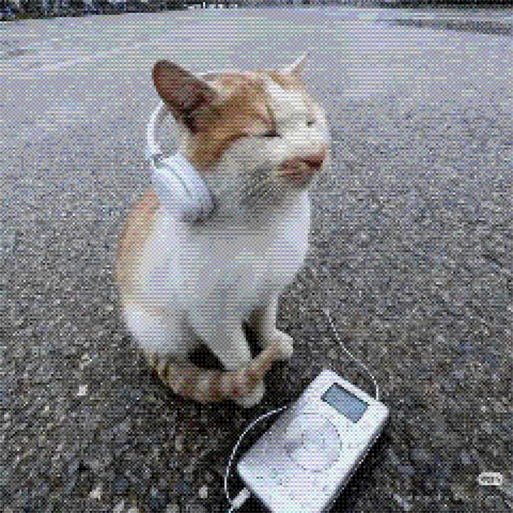 kittymusic icon