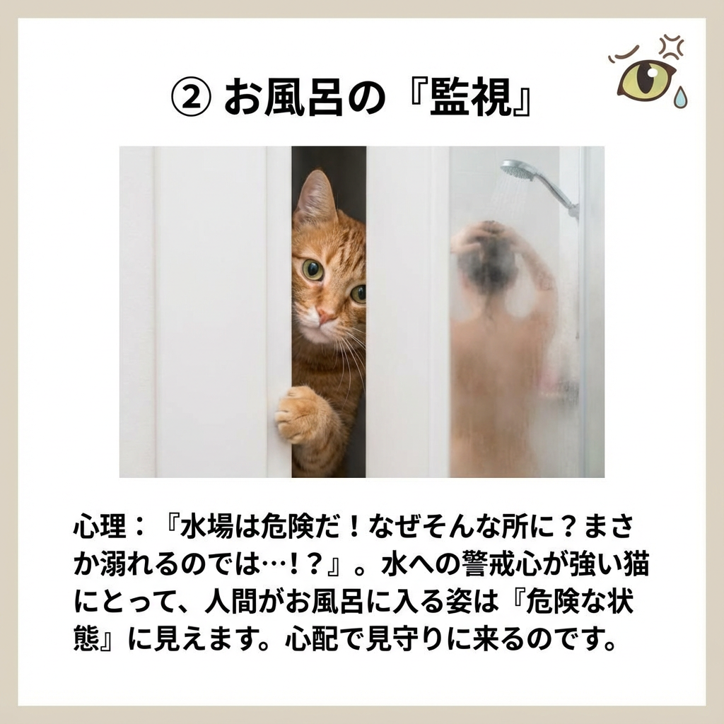 猫から見た飼い主の行動、実はこう見えている？ - Image 4