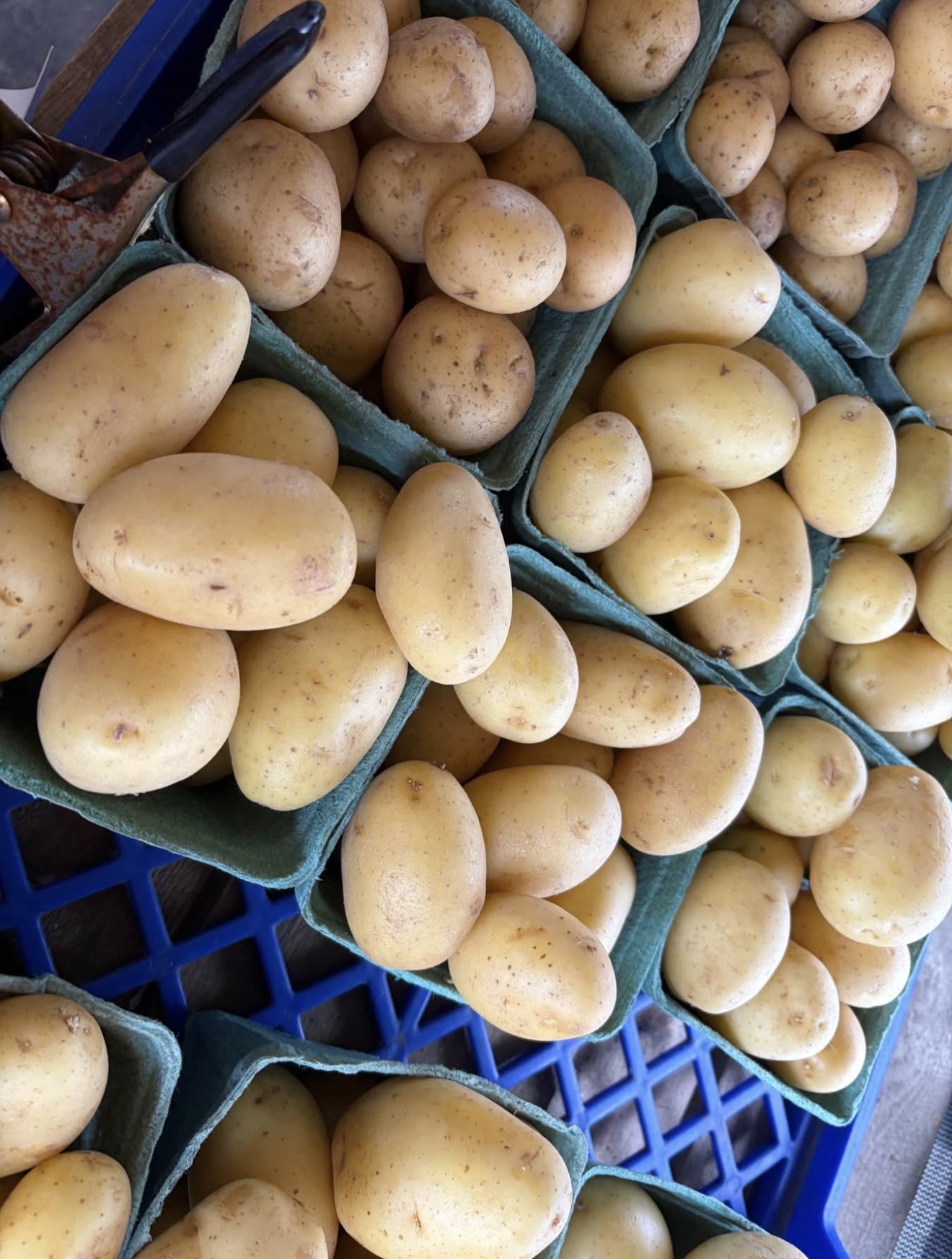 The vegetable tables stocked daily at DJ's Fresh Market farm stand, Appleton Wisconsin