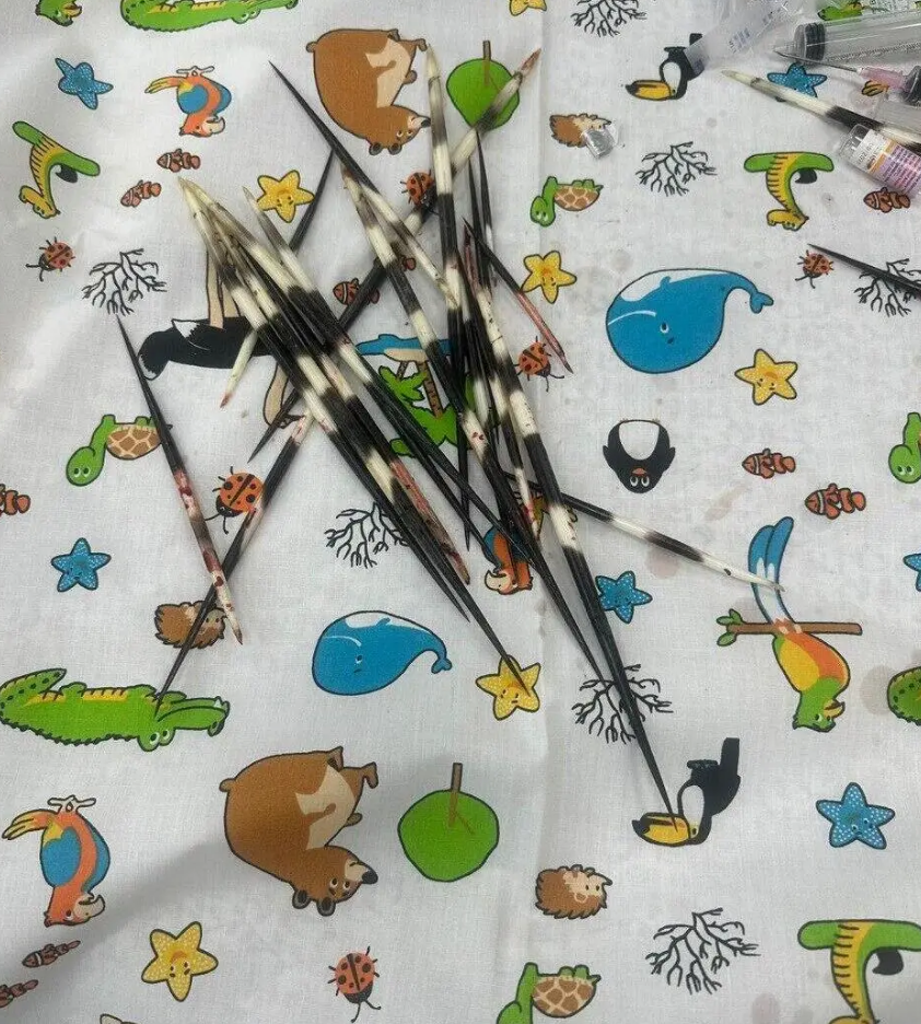 Bác sĩ điều trị