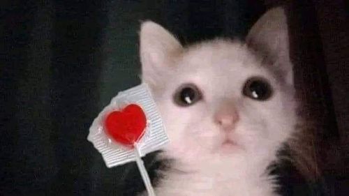 Ícone do Canal