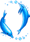dolphins