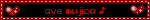 avmj blinkie
