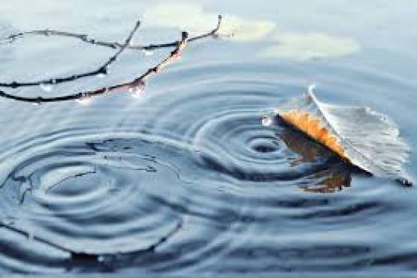 2021年9月12日星期日文摘: 对Woo的新看法|星际飞船地球