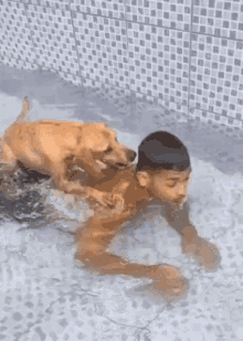 25zy2p.gif