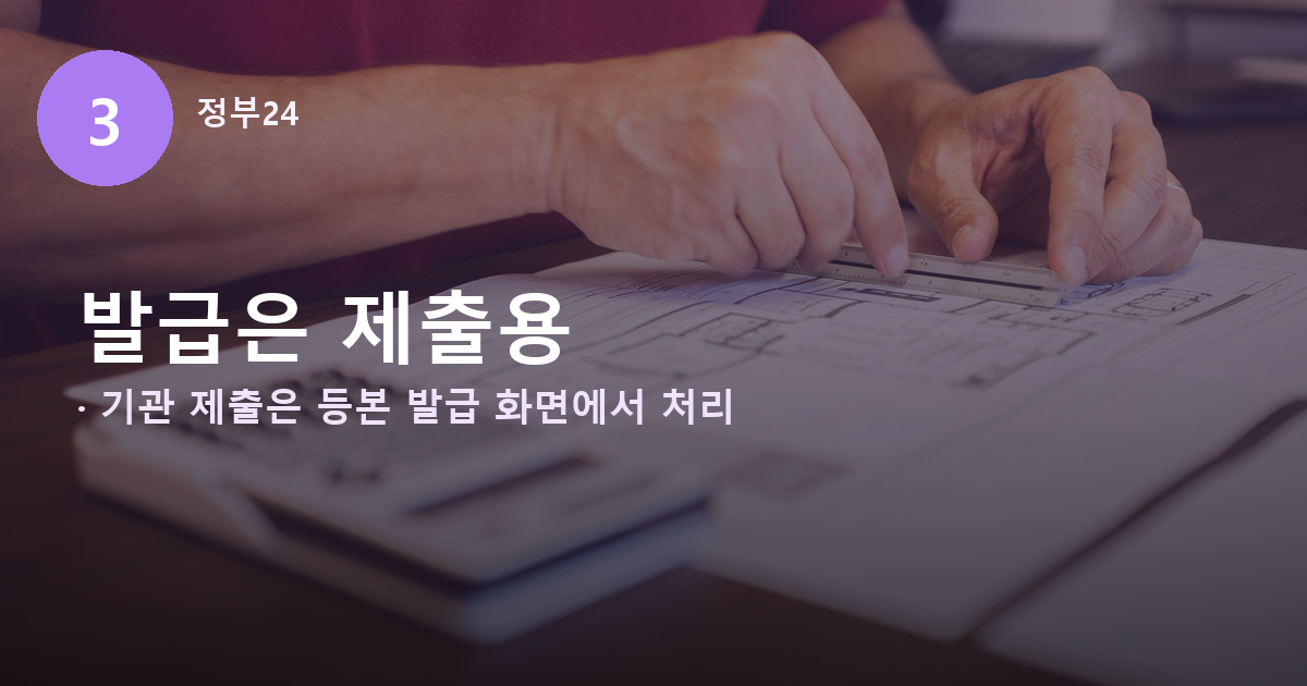 정부24에서 제출용 지적도 발급을 선택하는 절차 안내 배너