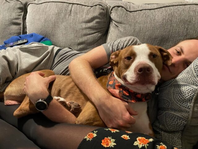Rescuing the scared dog
