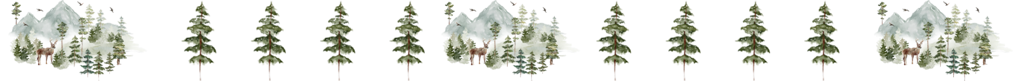 forestdivider2