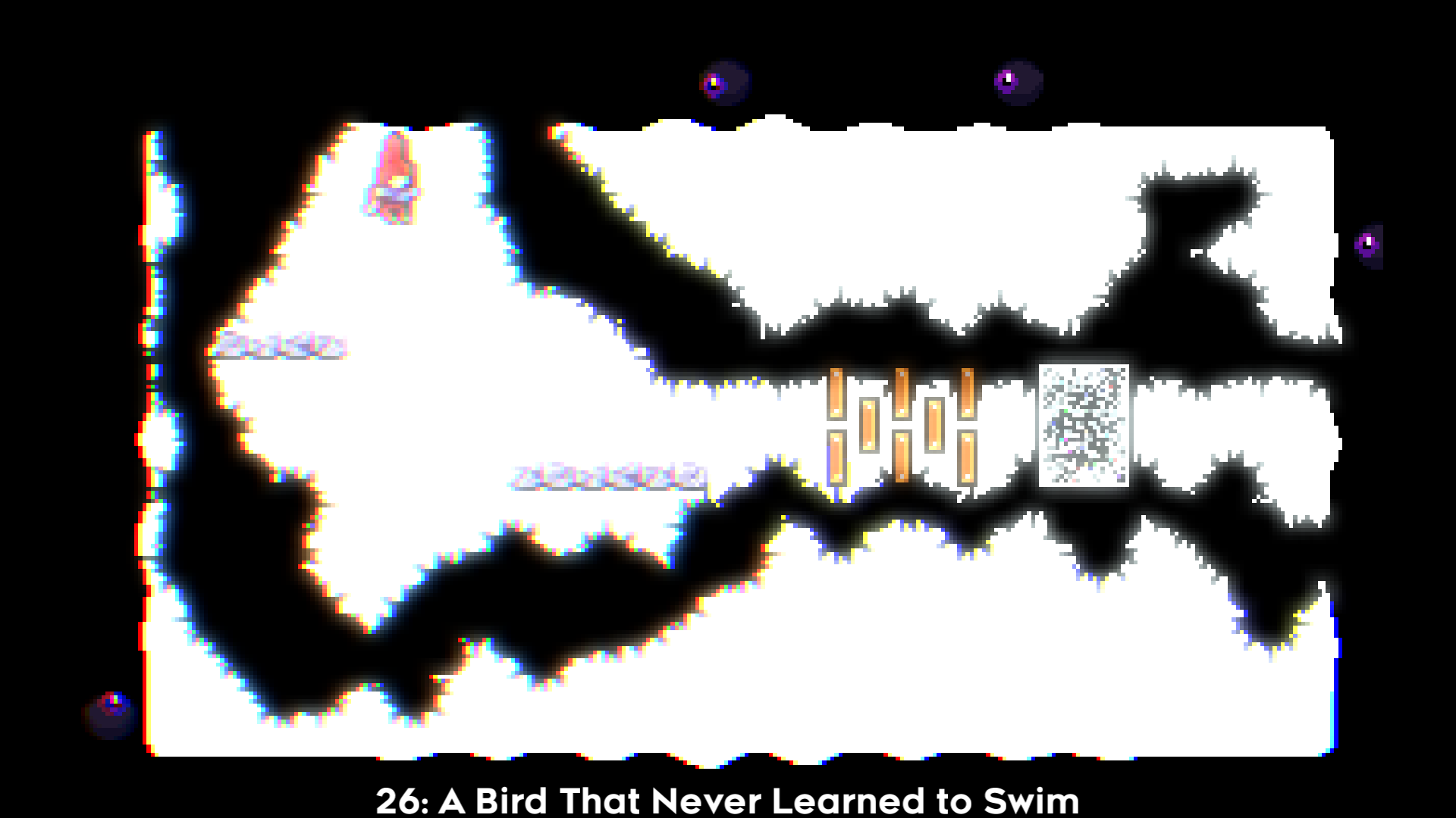 26: A Bird That Never Learned to Swim