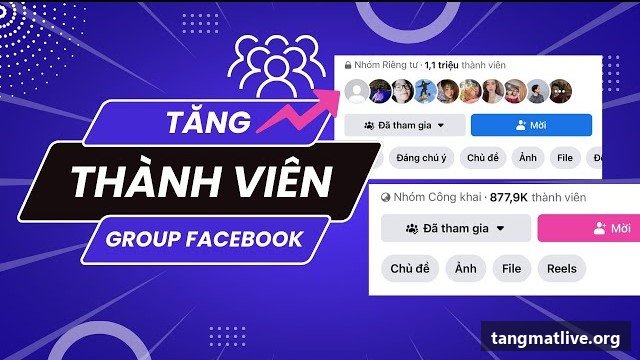 Dịch vụ tăng tương tác Facebook tại Tangmatlive.org