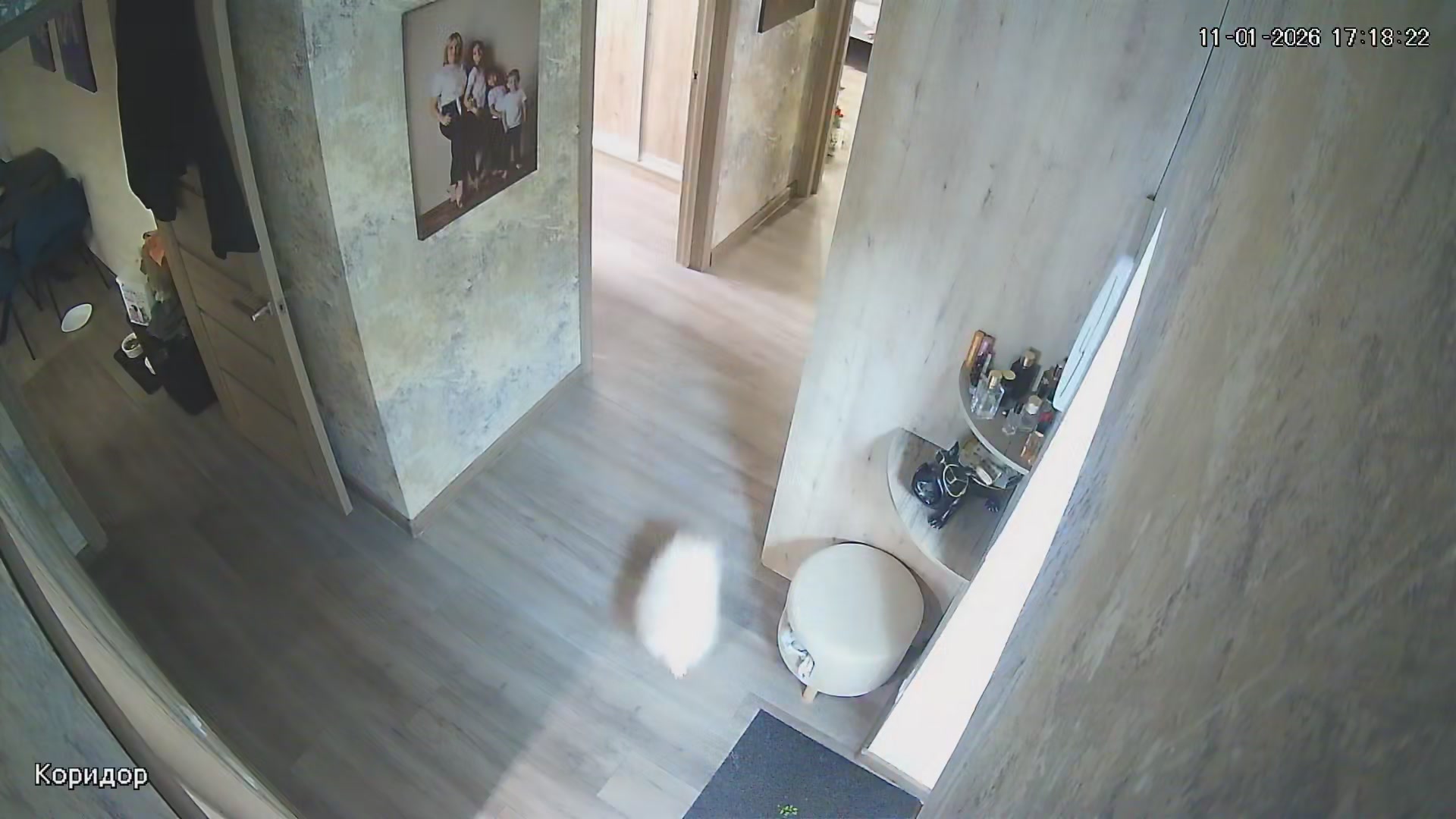 Hidden Voyeur 2 — 1_5159218714293307608 — screenshot 2