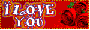 i love you