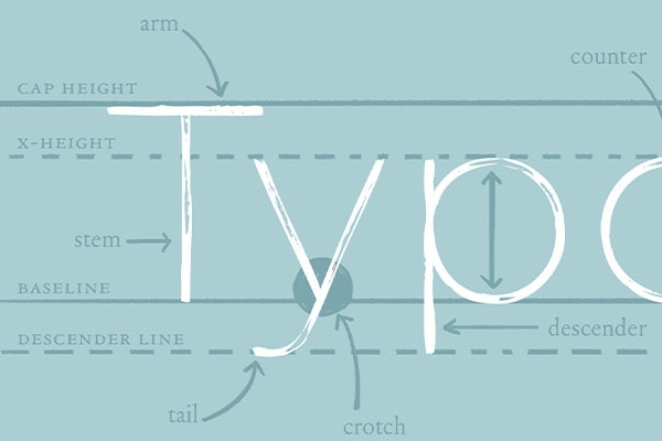 kết hợp font thiết kế website