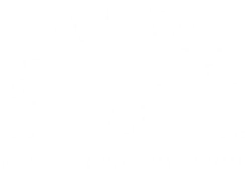 Panda Drum Limitless