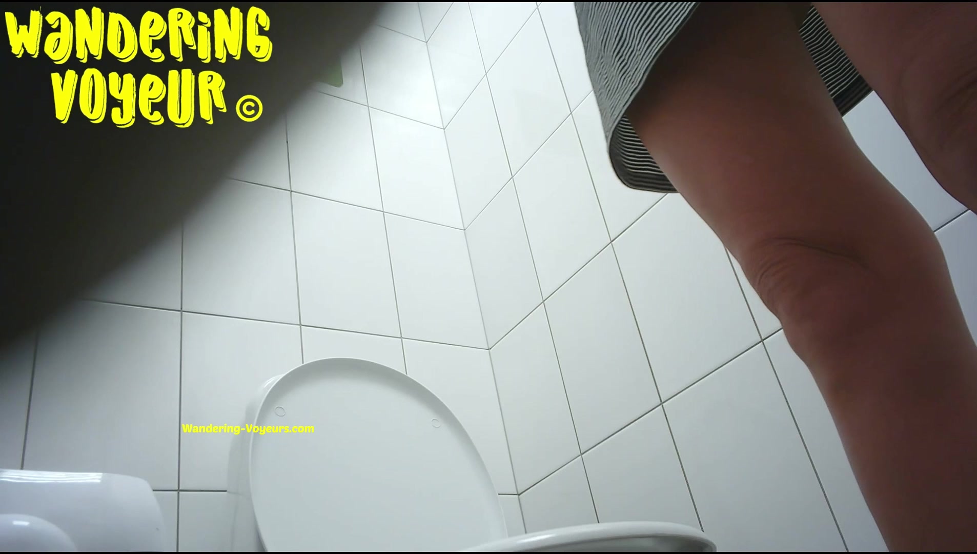 Toilet Spy — 0330(68) — screenshot 2