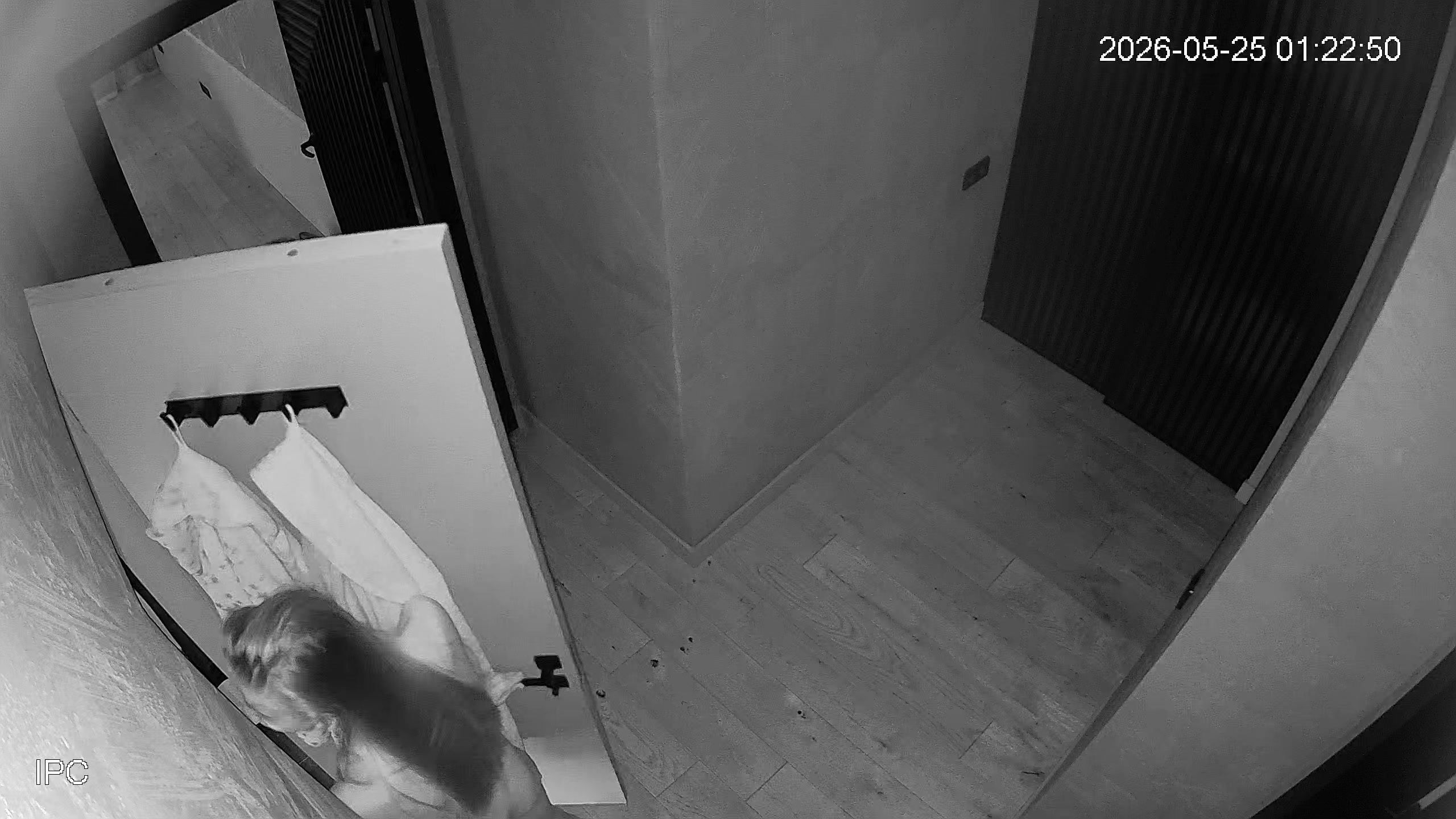 Hidden Voyeur 2 — 1_5021911654972000072 — screenshot 2