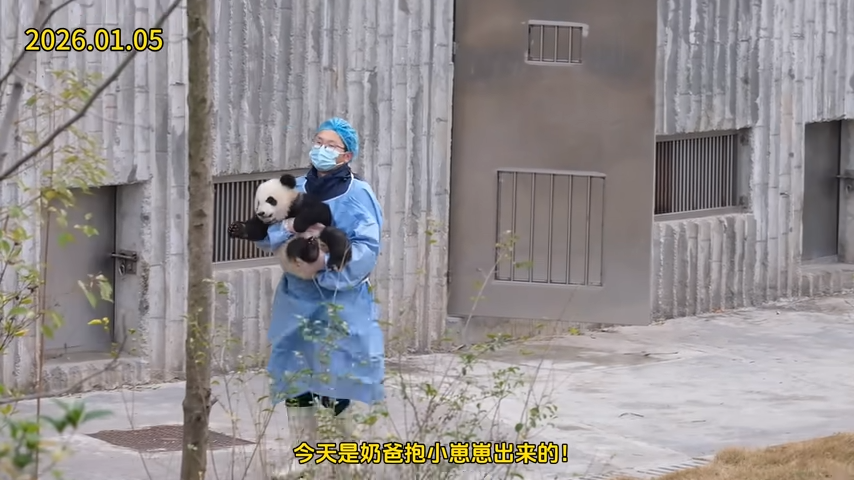 [問卦] 韓國愛寶媽媽帶娃 貓熊被丟出 (發錢) - 八卦 - PTT.BEST 批踢踢爆文 2