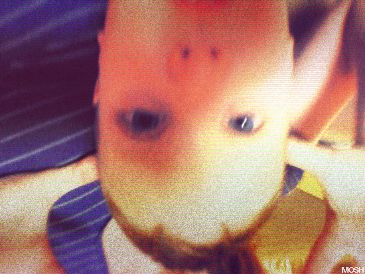 LittleMe