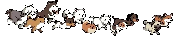 Dog Run Animation