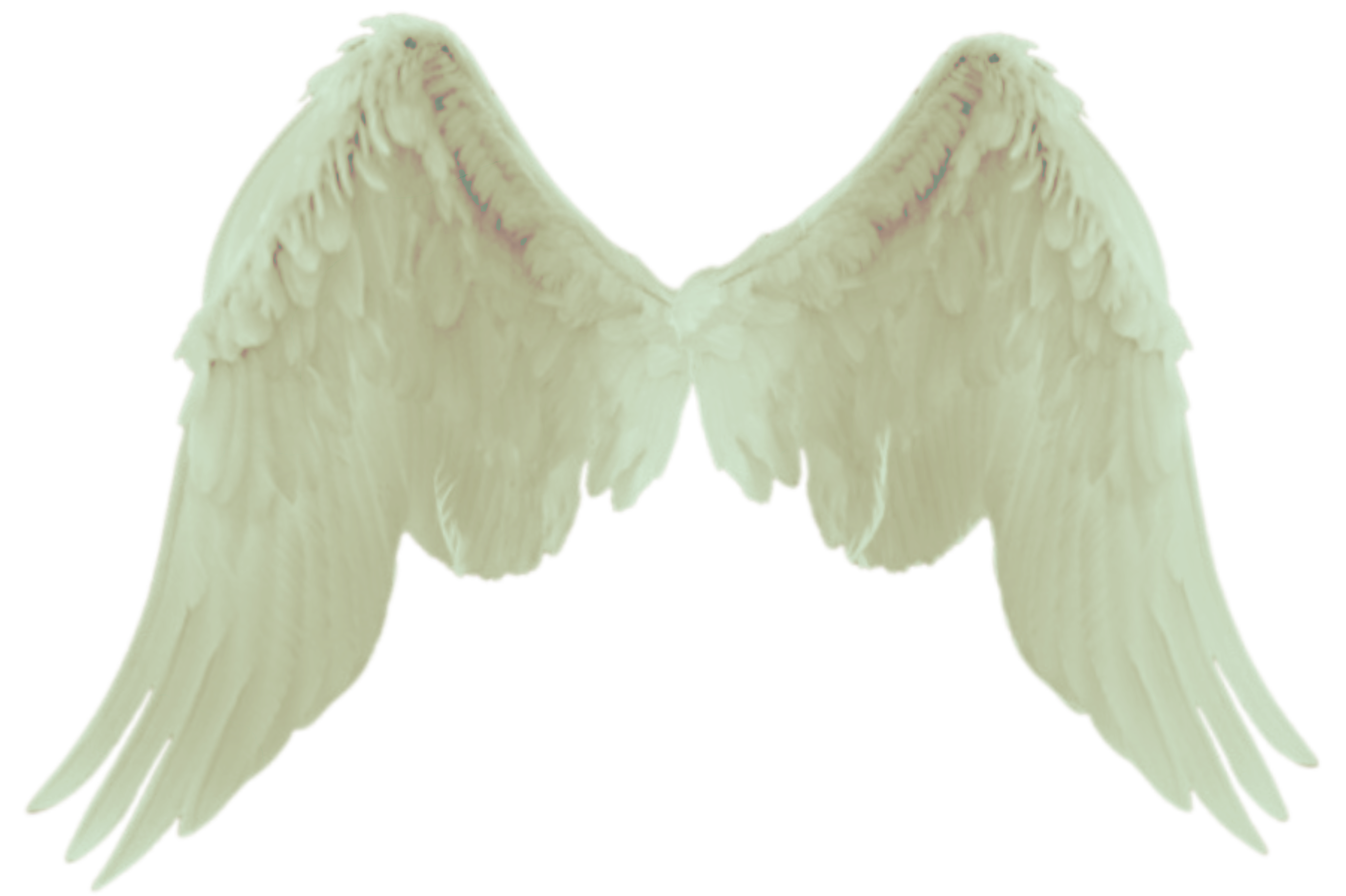 wings wings