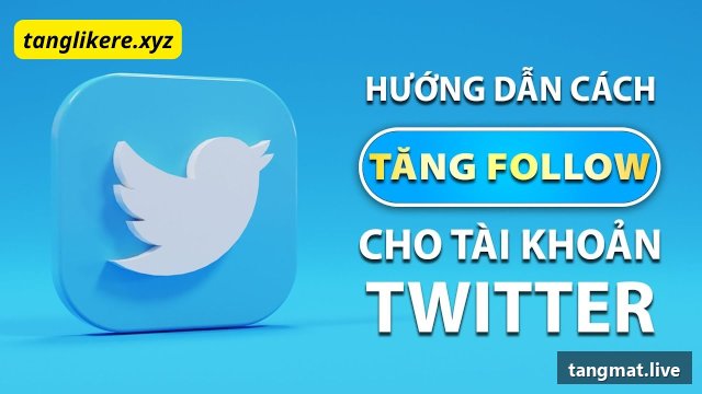 Dịch vụ tăng follow Twitter/X tại Tangmat.live