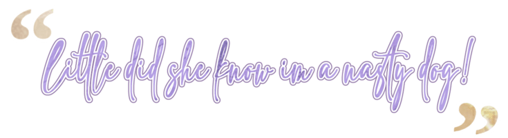 lyrics from Sir Mix-a-Lot - nasty dog