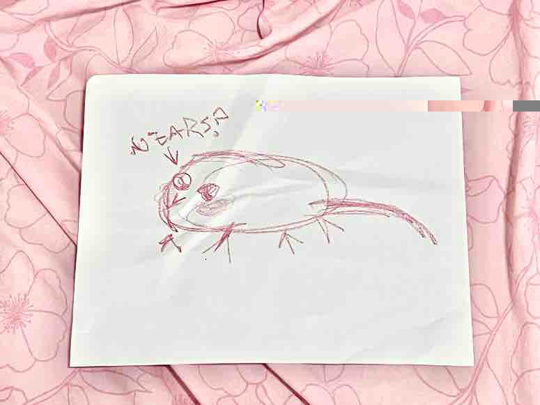 a very cute picture. a very cute picture.