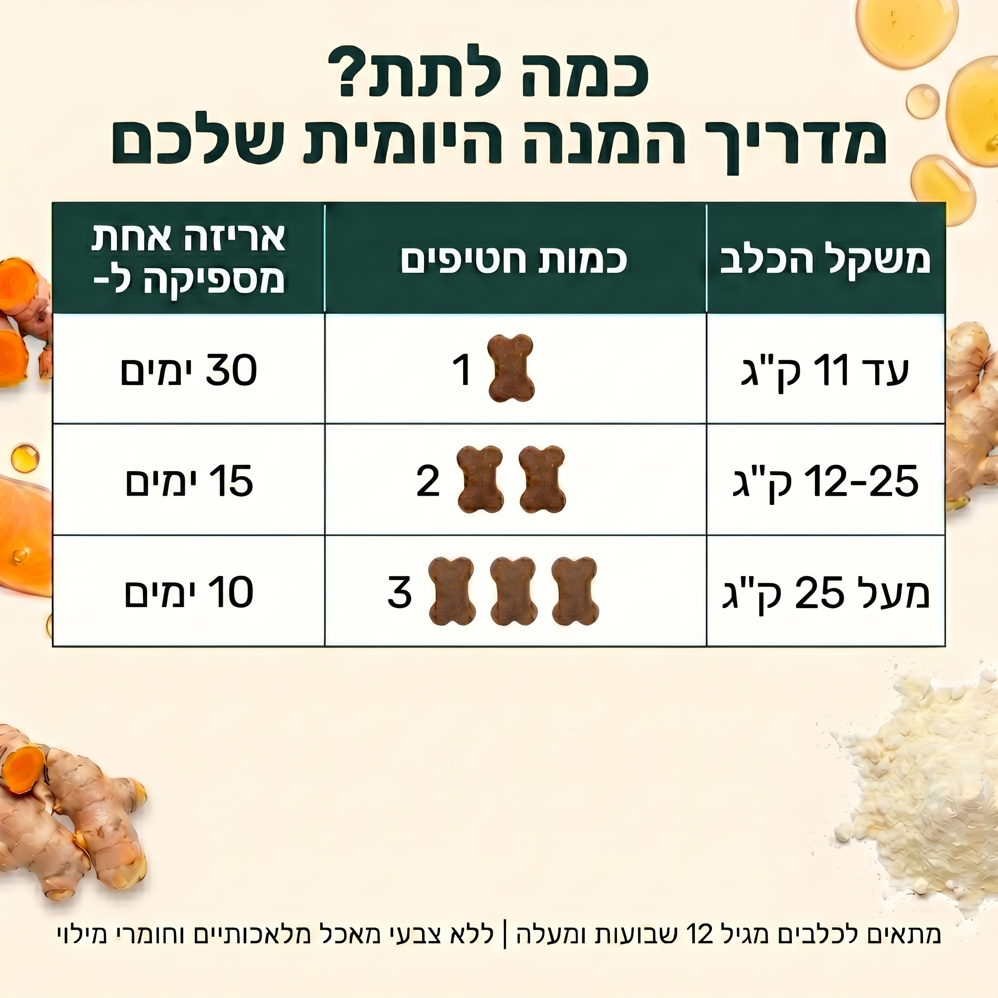 מדריך המנה היומית שלכם