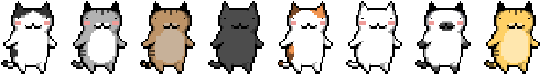 cat cat